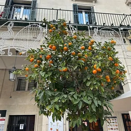 Apartment Sol De Mar,